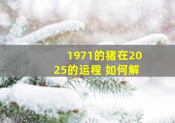 1971的猪在2025的运程 如何解